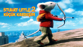 Stuart Little 2 Küçük Kardeşim (2002)